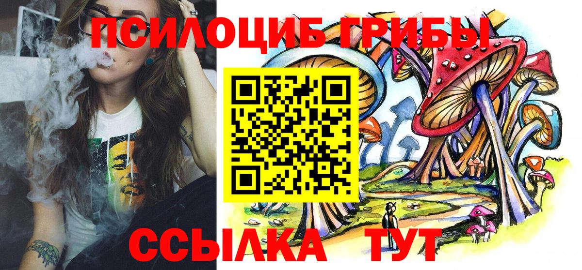 Псилоцибиновые грибы прущие грибы Новороссийск