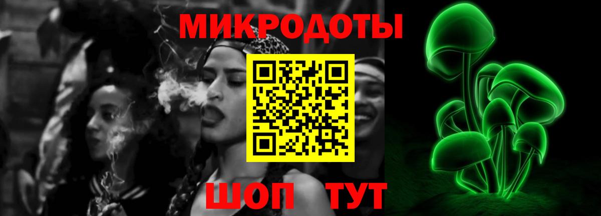 Псилоцибиновые грибы Psilocybe  Вход с VPN  Псилоцибиновые грибы GOLDEN TEACHER  дарнет шоп  Новороссийск 